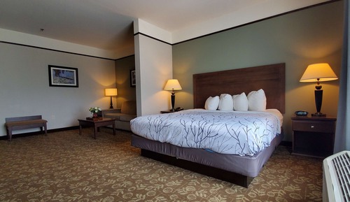Suite, 1 King Bed, Non Smoking, Jetted Tub (Walk-in Shower;with Sofabed)