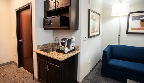 Suite, 1 King Bed with Sofa bed