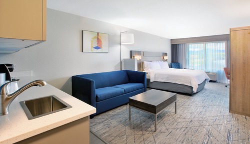 Suite, 1 King Bed, Accessible (Mobility, Accessible Tub)