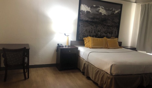 Studio, 1 King Bed, Non Smoking