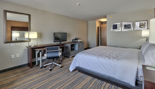 Standard Room, 1 King Bed, Accessible (Mobility, Roll-In Shower)
