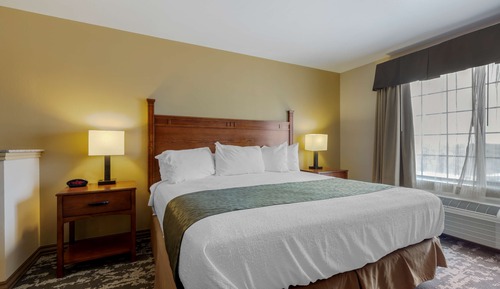Standard Room, 1 King Bed, Accessible, Bathtub