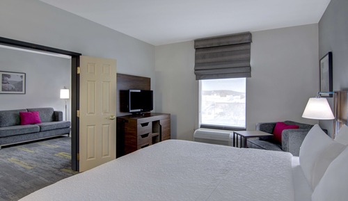 Suite, 1 King Bed with Sofa bed
