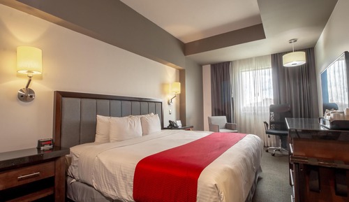 Standard Room, 1 King Bed, Non Smoking