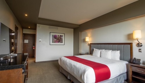 Standard Room, 1 King Bed, Non Smoking, Connecting Rooms