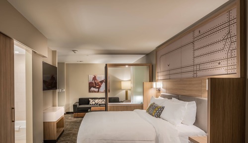 Suite, 1 King Bed with Sofa bed