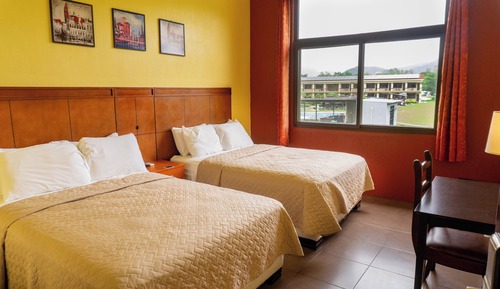 Basic Double Room