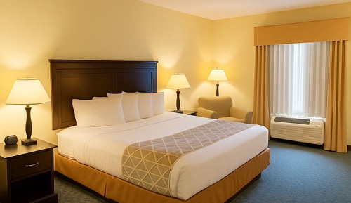 Standard Room, 1 King Bed, Non Smoking