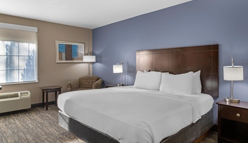 Standard Room, 1 King Bed, Smoking, Refrigerator & Microwave