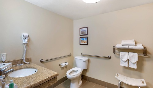 Room, 1 King Bed, Accessible, Non Smoking