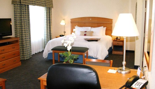 Studio, 1 King Bed with Sofa bed
