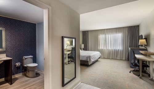 Standard Room, 1 King Bed, Accessible