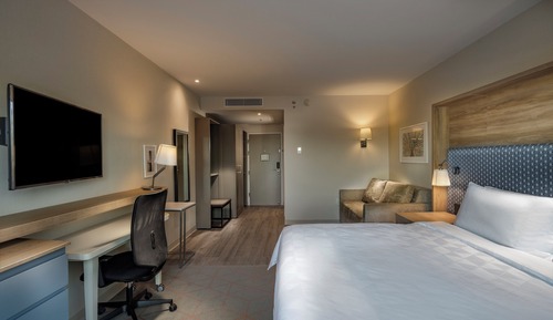 Standard Room, 1 King Bed (Private Terrace)