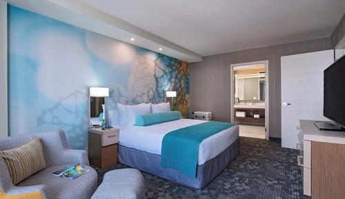 Suite, 1 King Bed with Sofa bed
