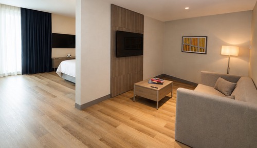 Suite, 1 King Bed