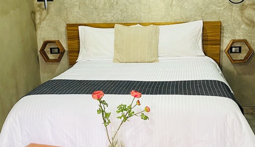 C3 - Deluxe Double Room, Patio, Garden View