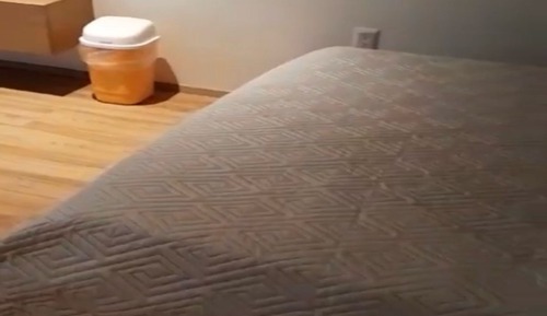 Luxury Studio Suite