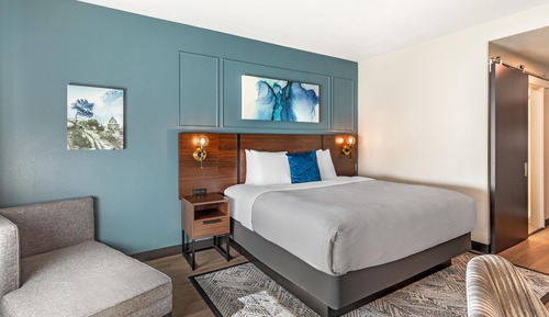 Standard Room, 1 King Bed, Non Smoking, Refrigerator & Microwave