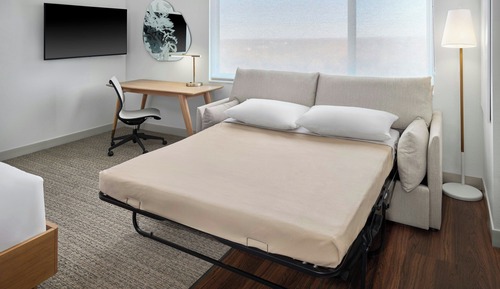 Studio, 1 King Bed with Sofa bed (Hearing Accessible)