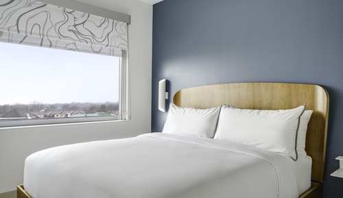 Suite, 1 King Bed with Sofa bed (Hearing Accessible)