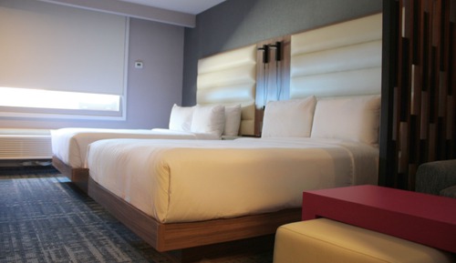 Studio Suite, 2 Double Beds