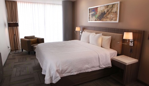 Room, 1 King Bed, Non Smoking