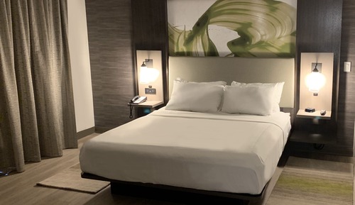 Room, 1 King Bed