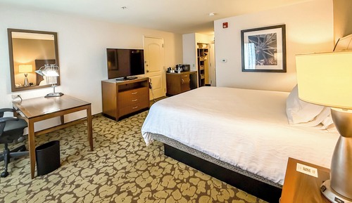 Room, 1 King Bed