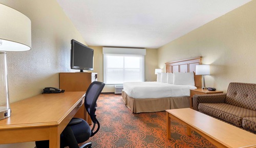 Standard Room, 1 King Bed, Non Smoking, Refrigerator & Microwave (with Sofabed)