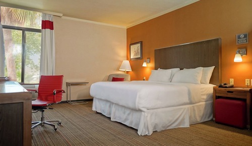 Suite, 1 Bedroom, Non Smoking