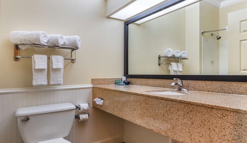 Standard Room, 1 King Bed, Non Smoking, Refrigerator & Microwave
