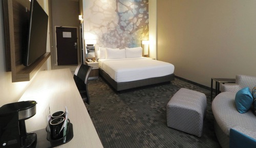 Room, 1 King Bed with Sofa bed