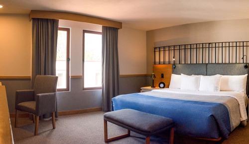 Deluxe Room One King Bed