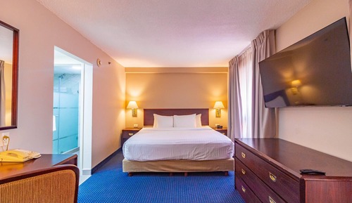 Junior Suite, 1 King Bed, Non Smoking