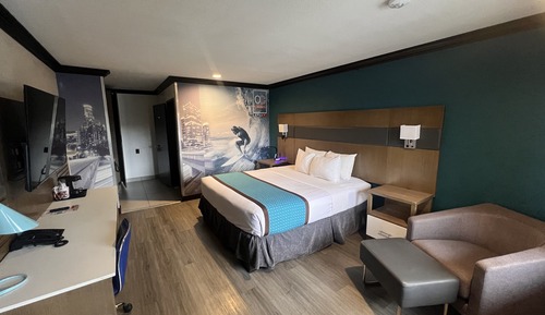 Room, 1 King Bed, Roll-in Shower