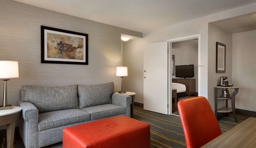 Suite, 1 King Bed