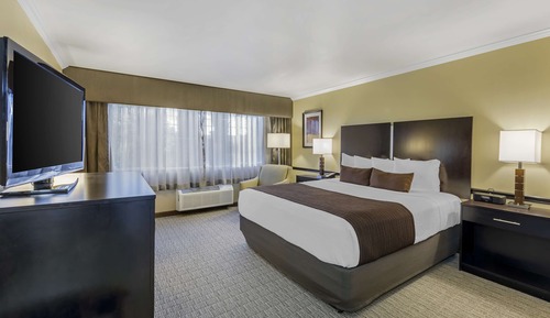 Deluxe Room, 1 King Bed, Non Smoking, Refrigerator & Microwave