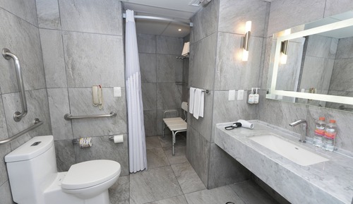 Standard Room, 1 King Bed, Accessible Bathtub