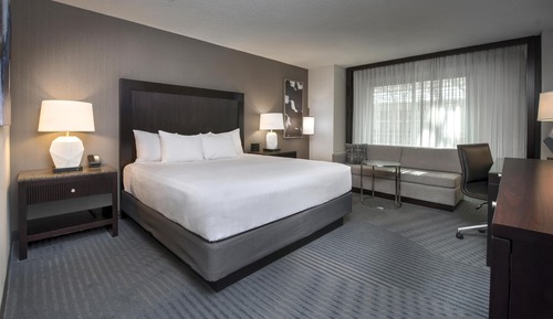 Room, 1 King Bed