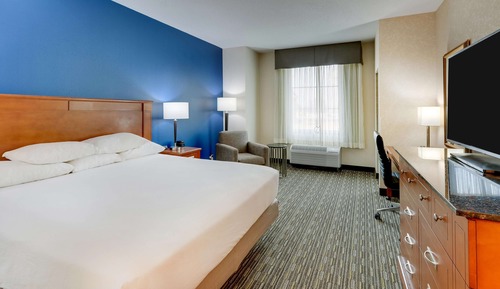 Room, 1 King Bed, Accessible (Roll in Shower)