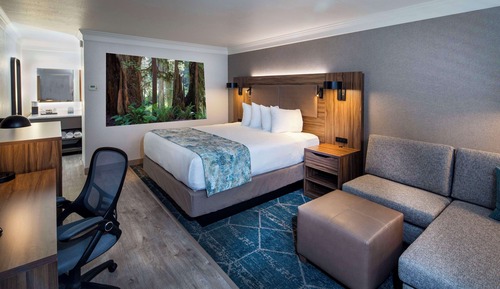 Standard Room, 1 King Bed, Non Smoking, Refrigerator & Microwave
