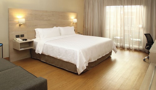 Standard Room, 1 King Bed, Accessible