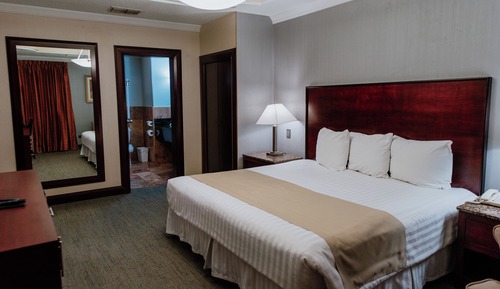 Room, 1 King Bed