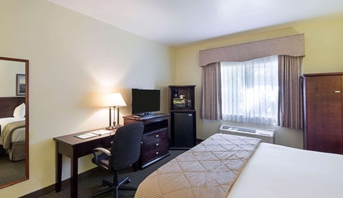 Standard Room, 1 King Bed, Non Smoking