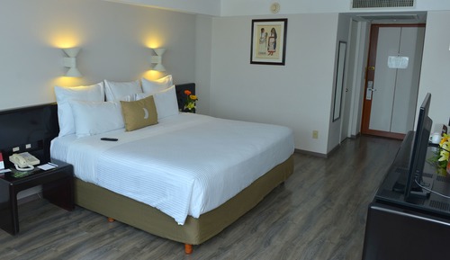 Standard Room, 1 King Bed, Non Smoking