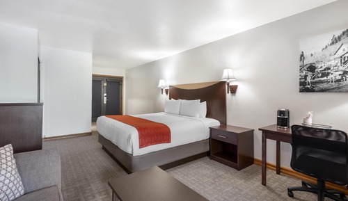 Standard Room, 1 King Bed, Non Smoking, Balcony (Walk-in Shower;Larger Room)
