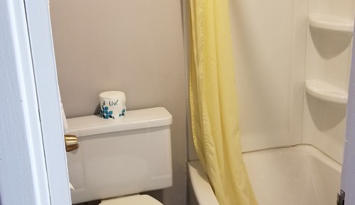 Room, 1 King Bed