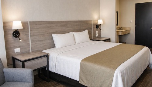 Suite, 1 Queen Bed