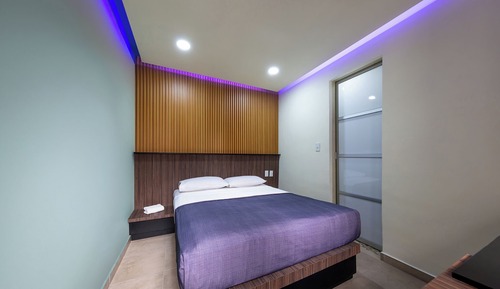 Basic Single Room
