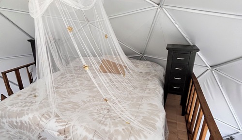 Deluxe Room, Pets Allowed